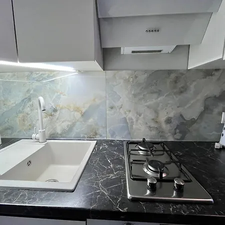 під дубом, біля тц форум в квартирі є газова колонка і конвектор Lägenhet